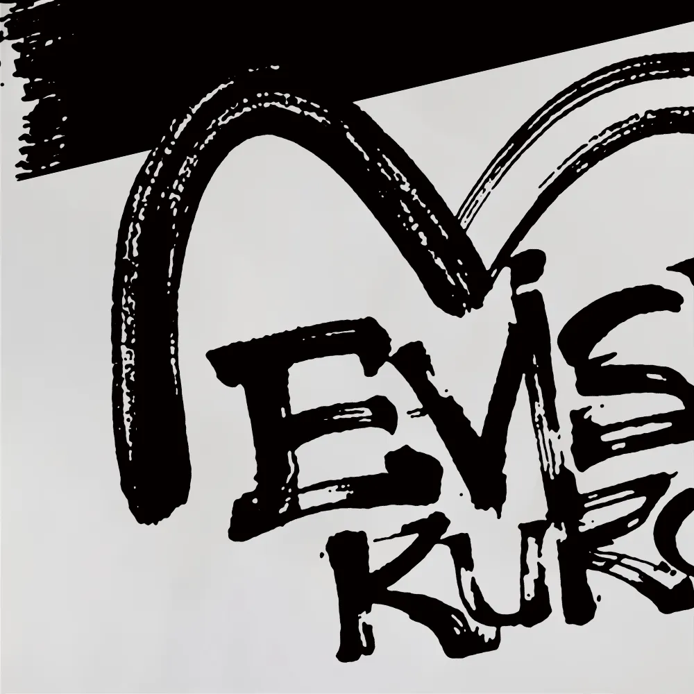 Evisu 2025New Arrival T ⚠ Quality⚠ Same Style T 。 ，Black S-XXL，White S-XXL，Gray M-XXL，Red M-XXL， Red M-XXL Blue M-XXL